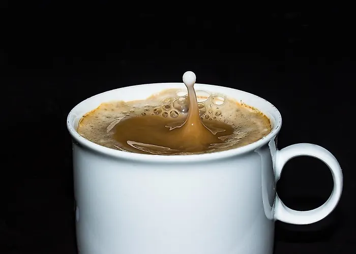 Residencial Paranhos